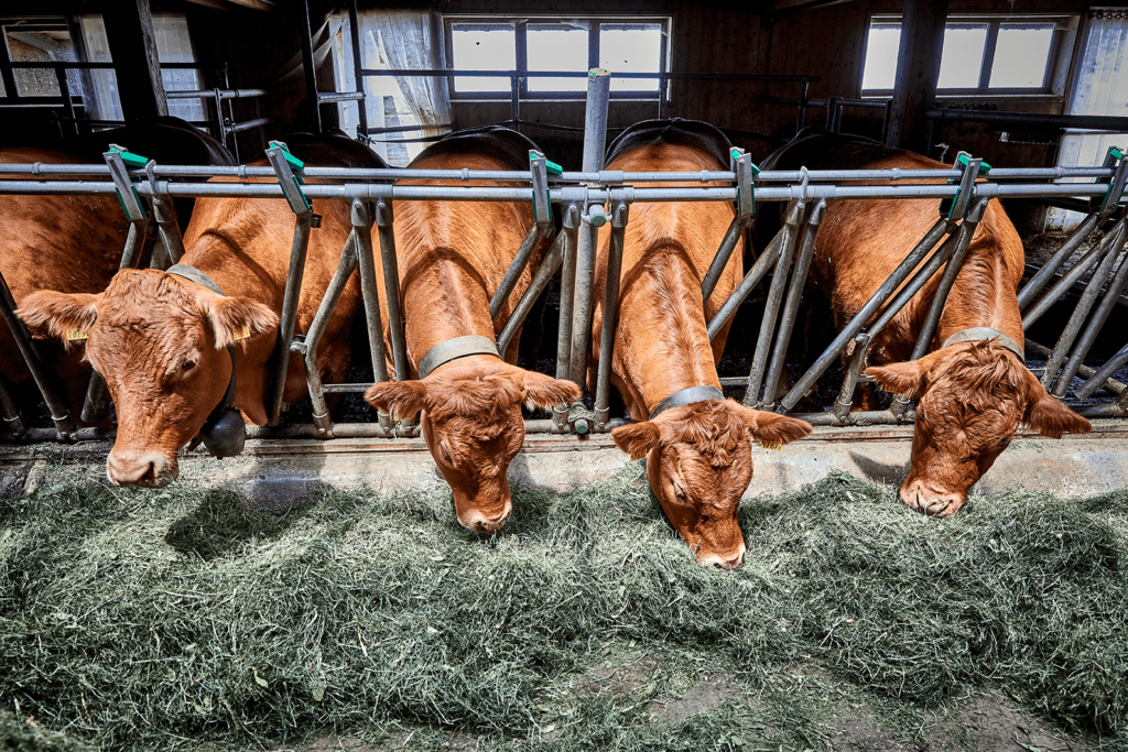 Appenzell agriculture